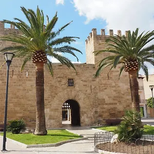 Simo Alcudia (Mallorca)